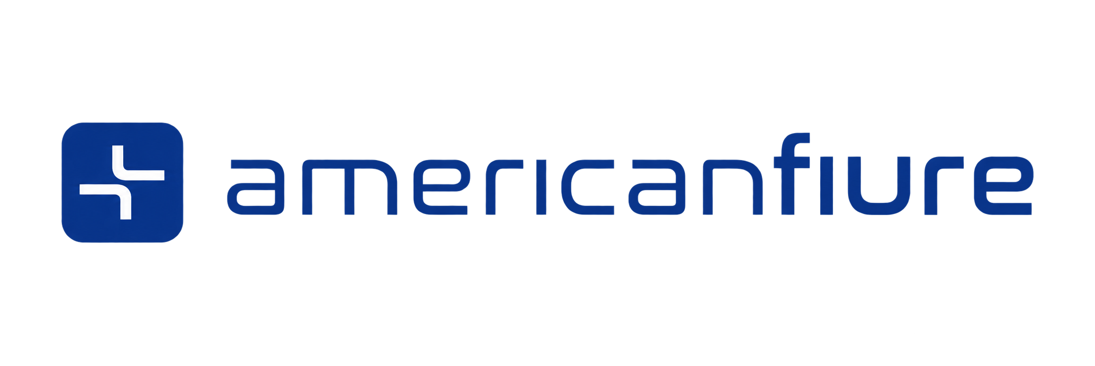 American Fiure